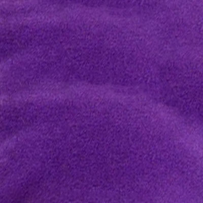 Polar Fleece Swatch Image Purple