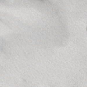 Polar Fleece Swatch Image White